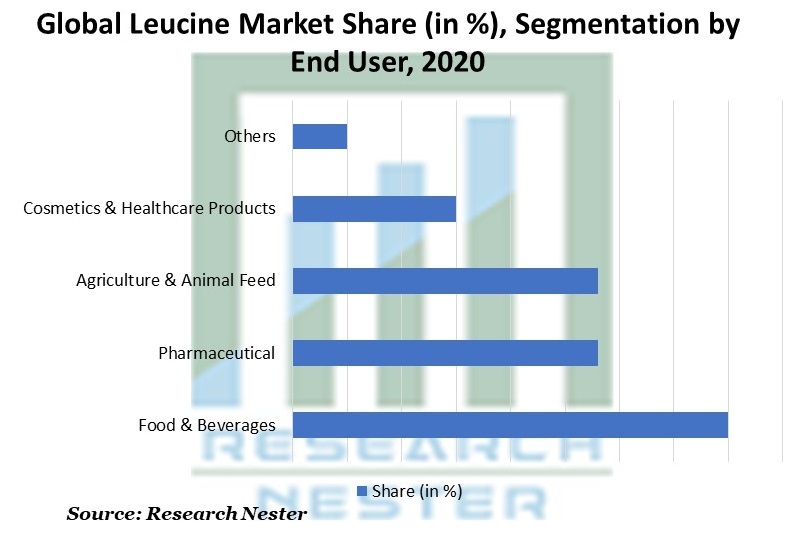 Leucine Market Share